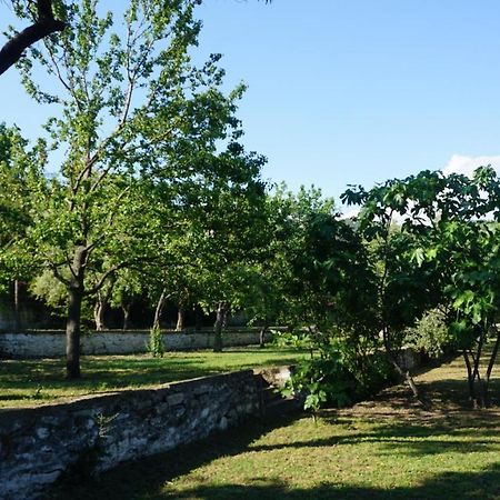 Kavet Palio Cottage PalaiónTsiflíkion Екстериор снимка