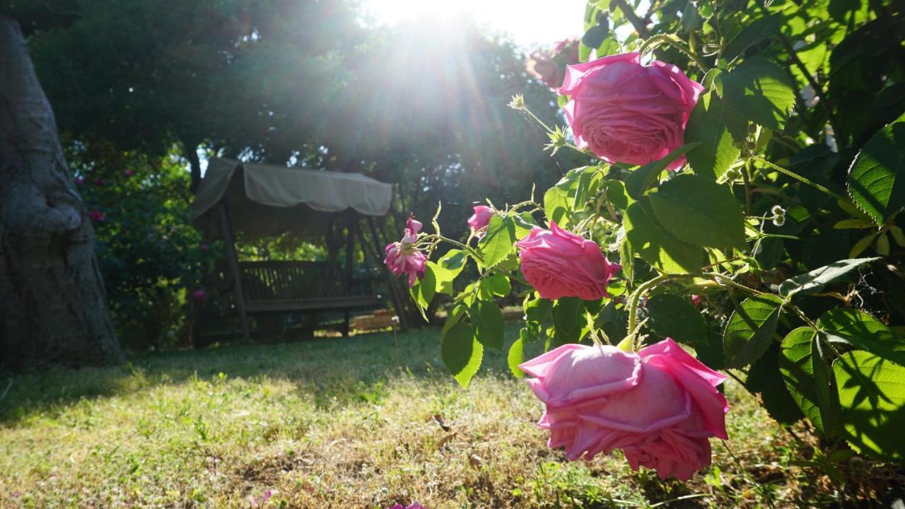Kavet Palio Cottage PalaiónTsiflíkion Екстериор снимка