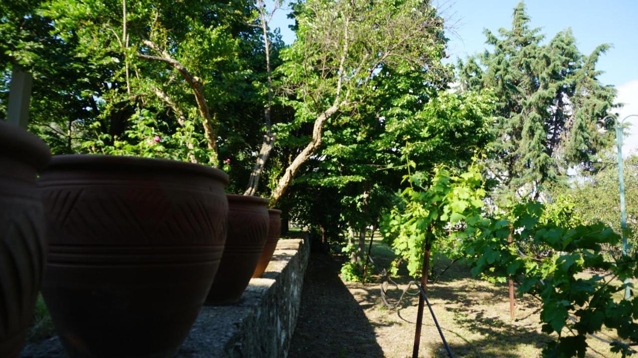 Kavet Palio Cottage PalaiónTsiflíkion Екстериор снимка